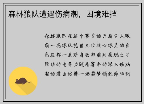 森林狼队遭遇伤病潮，困境难挡