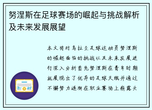 努涅斯在足球赛场的崛起与挑战解析及未来发展展望