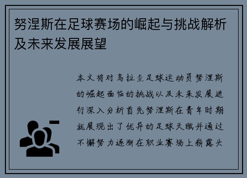 努涅斯在足球赛场的崛起与挑战解析及未来发展展望