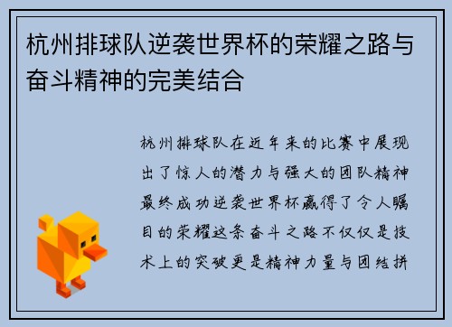 杭州排球队逆袭世界杯的荣耀之路与奋斗精神的完美结合